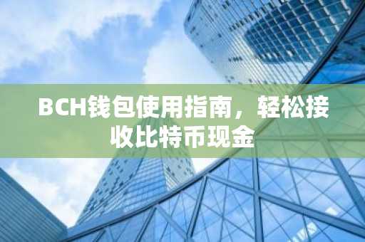 BCH钱包使用指南，轻松接收比特币现金