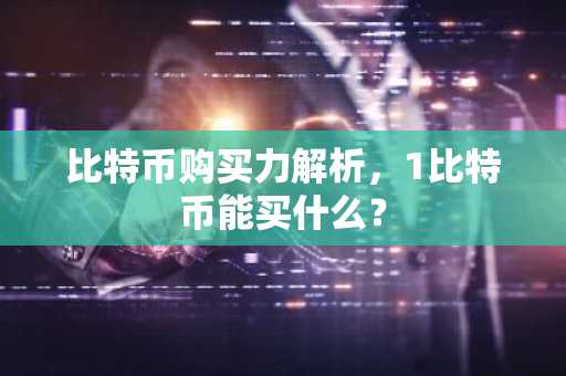 比特币购买力解析，1比特币能买什么？