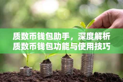 质数币钱包助手,深度解析质数币钱包功能与使用技巧
