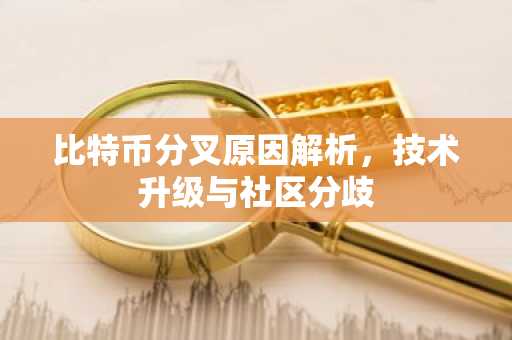 比特币分叉原因解析,技术升级与社区分歧