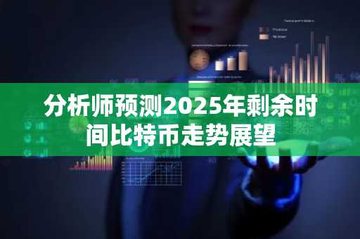 分析师预测2025年剩余时间比特币走势展望
