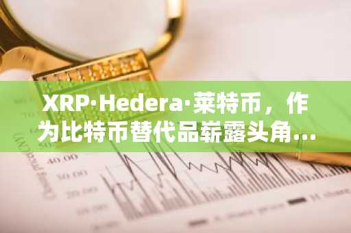 XRP·Hedera·莱特币，作为比特币替代品崭露头角……2026年核心基础设施币引关注