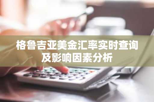 格鲁吉亚美金汇率实时查询及影响因素分析