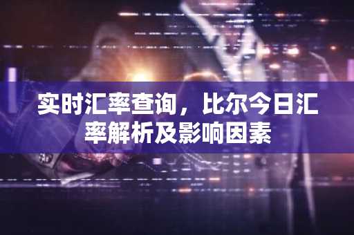 实时汇率查询，比尔今日汇率解析及影响因素