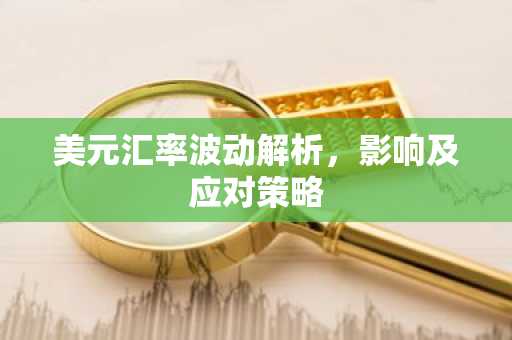 美元汇率波动解析，影响及应对策略
