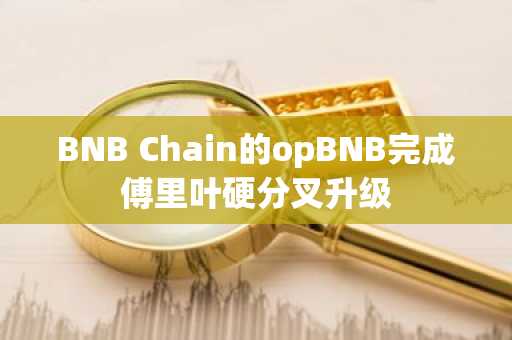 BNB Chain的opBNB完成傅里叶硬分叉升级