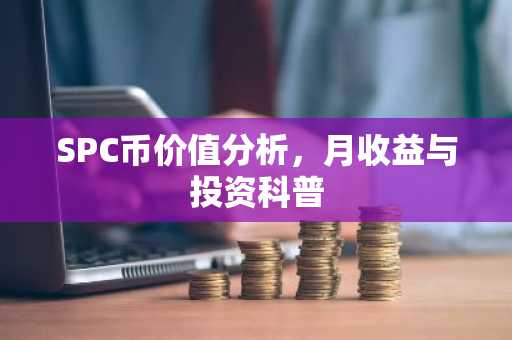 SPC币价值分析，月收益与投资科普