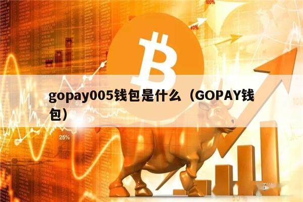 gopay005钱包是什么（GOPAY钱包）
