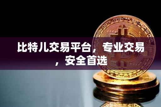 比特儿交易平台,专业交易,安全首选