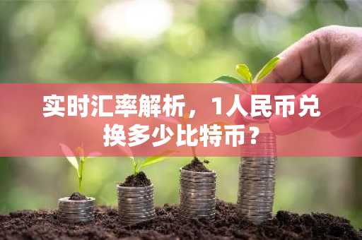 实时汇率解析,1人民币兑换多少比特币?