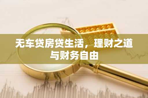 无车贷房贷生活，理财之道与财务自由