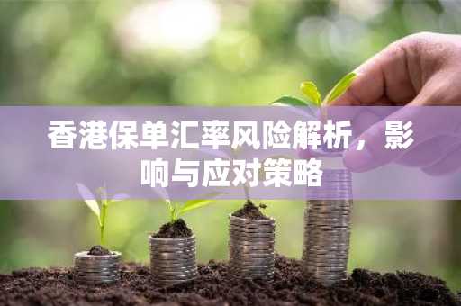 香港保单汇率风险解析，影响与应对策略