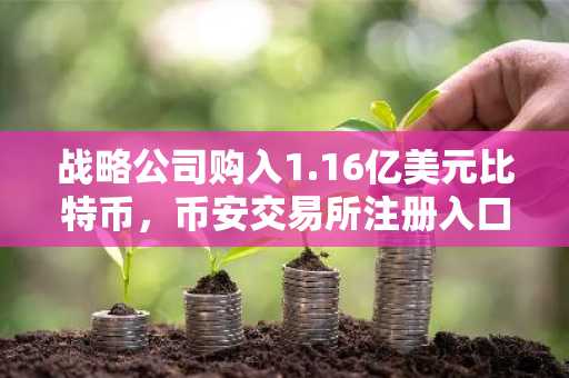 战略公司购入1.16亿美元比特币，币安交易所注册入口助你把握市场趋势