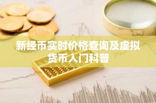 新经币实时价格查询及虚拟货币入门科普