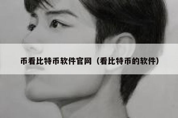 币看比特币软件官网（看比特币的软件）