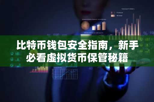 比特币钱包安全指南，新手必看虚拟货币保管秘籍