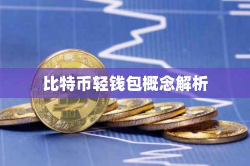 比特币轻钱包概念解析