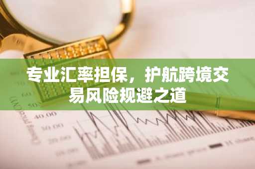 专业汇率担保，护航跨境交易风险规避之道