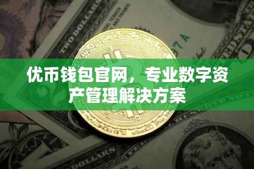 优币钱包官网，专业数字资产管理解决方案