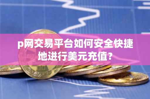 p网交易平台如何安全快捷地进行美元充值？