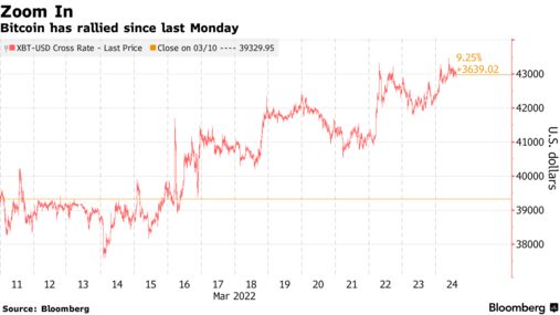 比特币近期反弹不改2022年“加密寒冬”之势