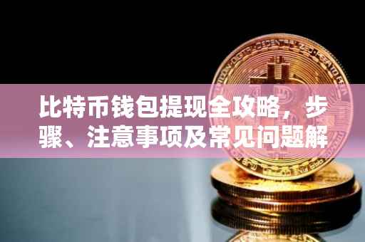 比特币钱包提现全攻略，步骤、注意事项及常见问题解答