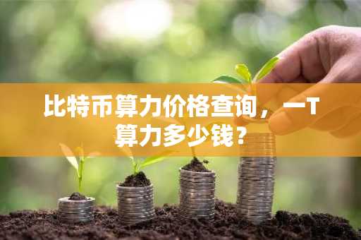 比特币算力价格查询,一T算力多少钱?