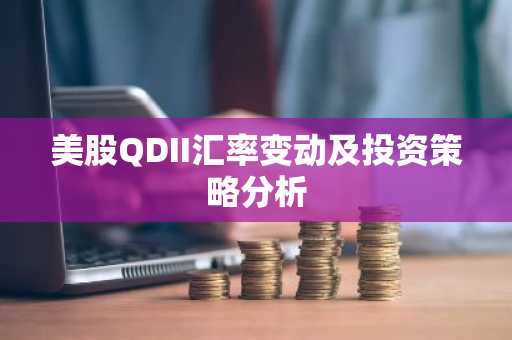 美股QDII汇率变动及投资策略分析