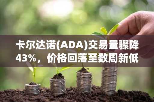 卡尔达诺(ADA)交易量骤降43%，价格回落至数周新低