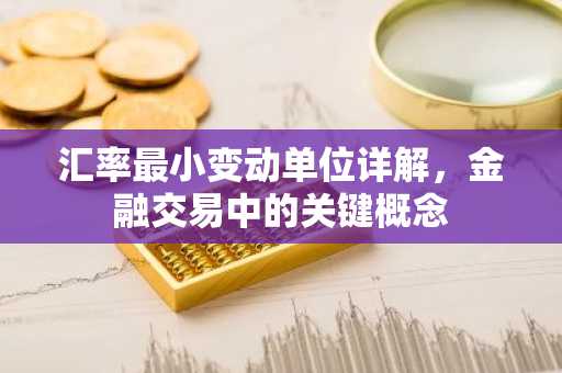 汇率最小变动单位详解，金融交易中的关键概念
