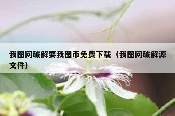 我图网破解要我图币免费下载（我图网破解源文件）