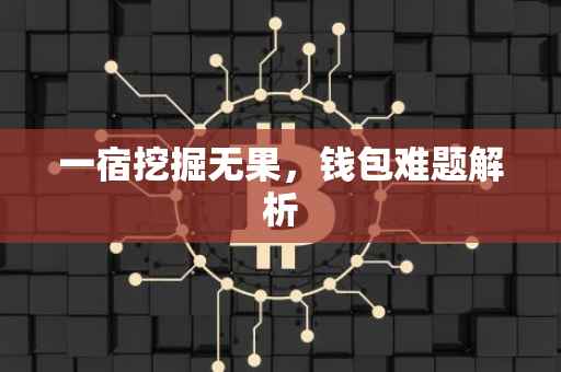 一宿挖掘无果,钱包难题解析