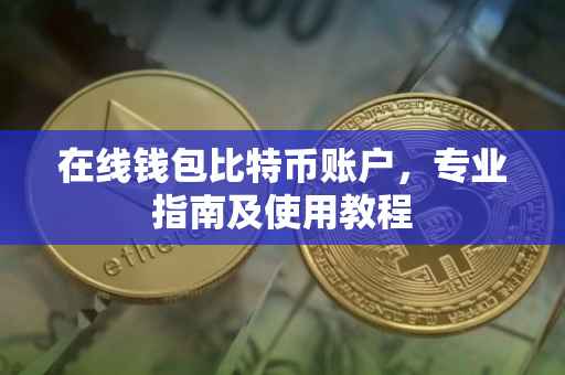 在线钱包比特币账户，专业指南及使用教程