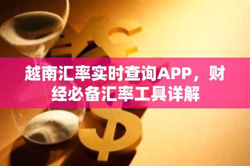 越南汇率实时查询APP，财经必备汇率工具详解
