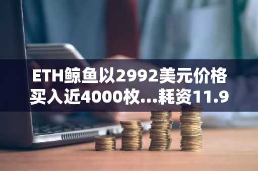 ETH鲸鱼以2992美元价格买入近4000枚…耗资11.91万美元