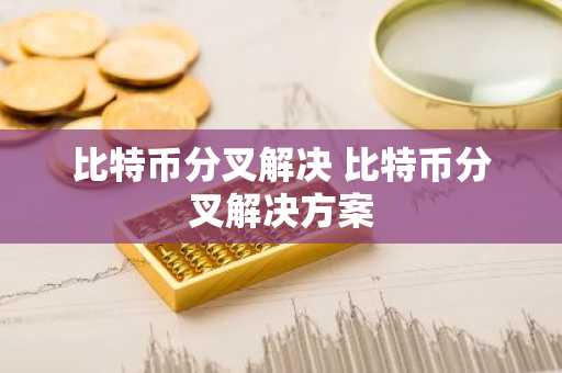 比特币分叉解决 比特币分叉解决方案