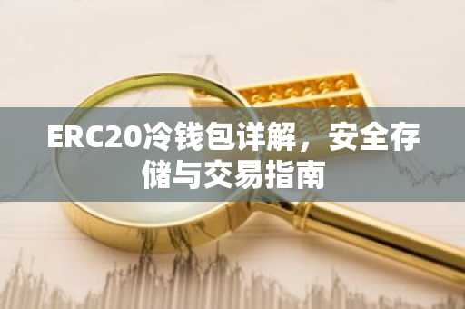 ERC20冷钱包详解，安全存储与交易指南