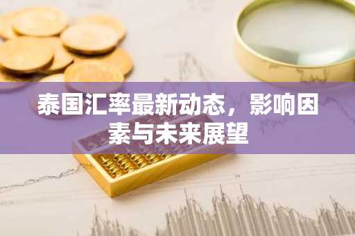 泰国汇率最新动态，影响因素与未来展望