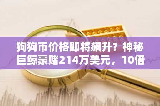 狗狗币价格即将飙升？神秘巨鲸豪赌214万美元，10倍杠杆