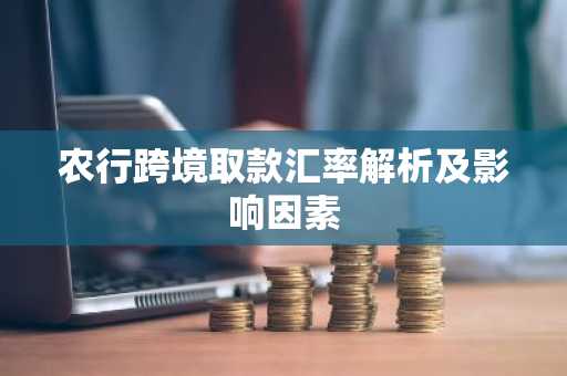 农行跨境取款汇率解析及影响因素