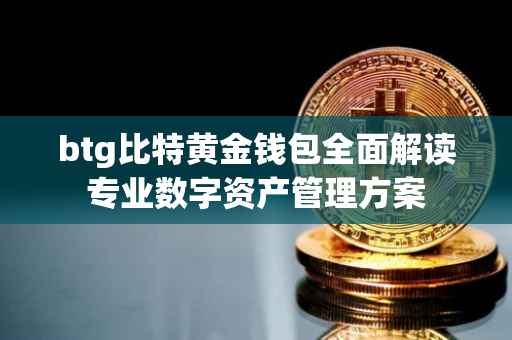 btg比特黄金钱包全面解读专业数字资产管理方案