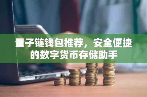 量子链钱包推荐，安全便捷的数字货币存储助手