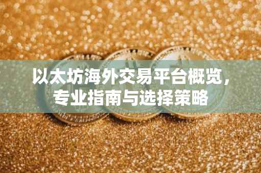 以太坊海外交易平台概览，专业指南与选择策略