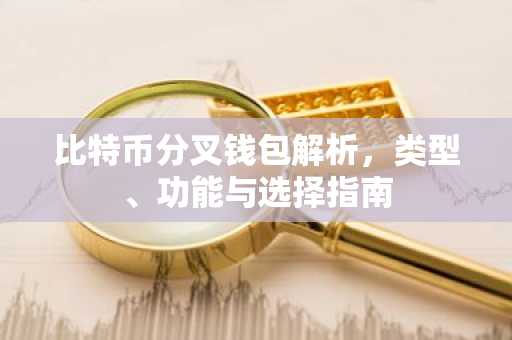 比特币分叉钱包解析，类型、功能与选择指南