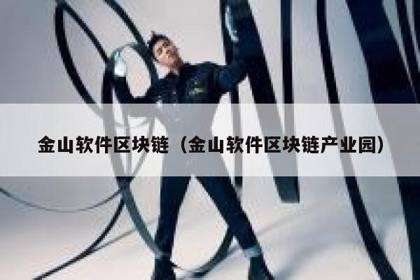 金山软件区块链（金山软件区块链产业园）