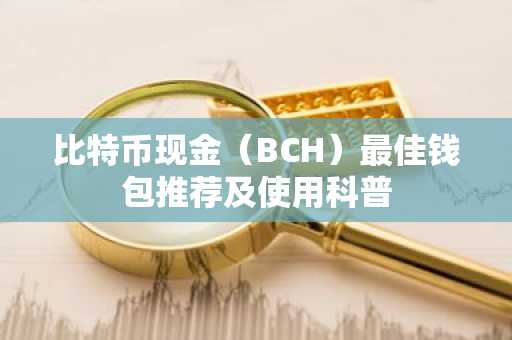 比特币现金（BCH）最佳钱包推荐及使用科普