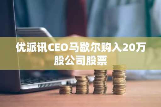 优派讯CEO马歇尔购入20万股公司股票