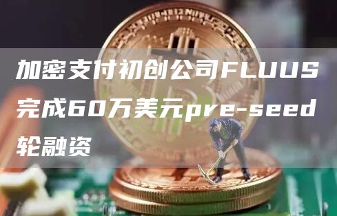 加密支付初创公司FLUUS完成60万美元pre-seed轮融资