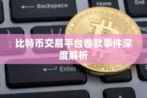 比特币交易平台卷款事件深度解析