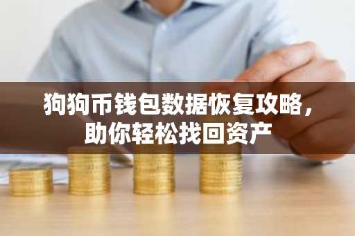 狗狗币钱包数据恢复攻略，助你轻松找回资产